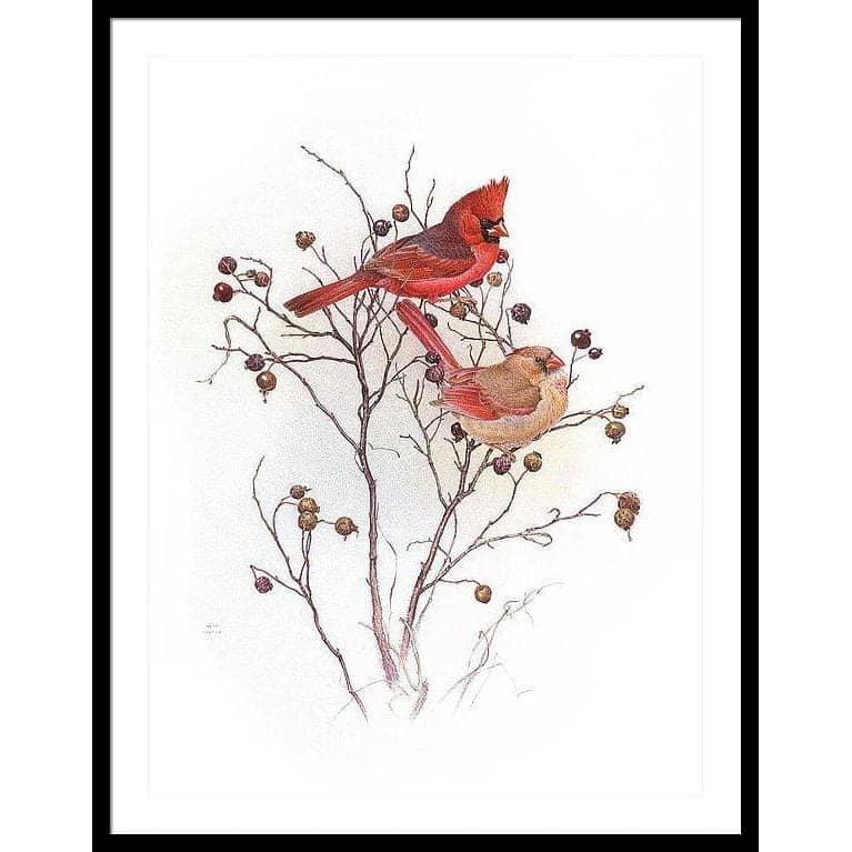 Cardinals on Rosehip Bush - Framed Print | Artwork by Glen Loates