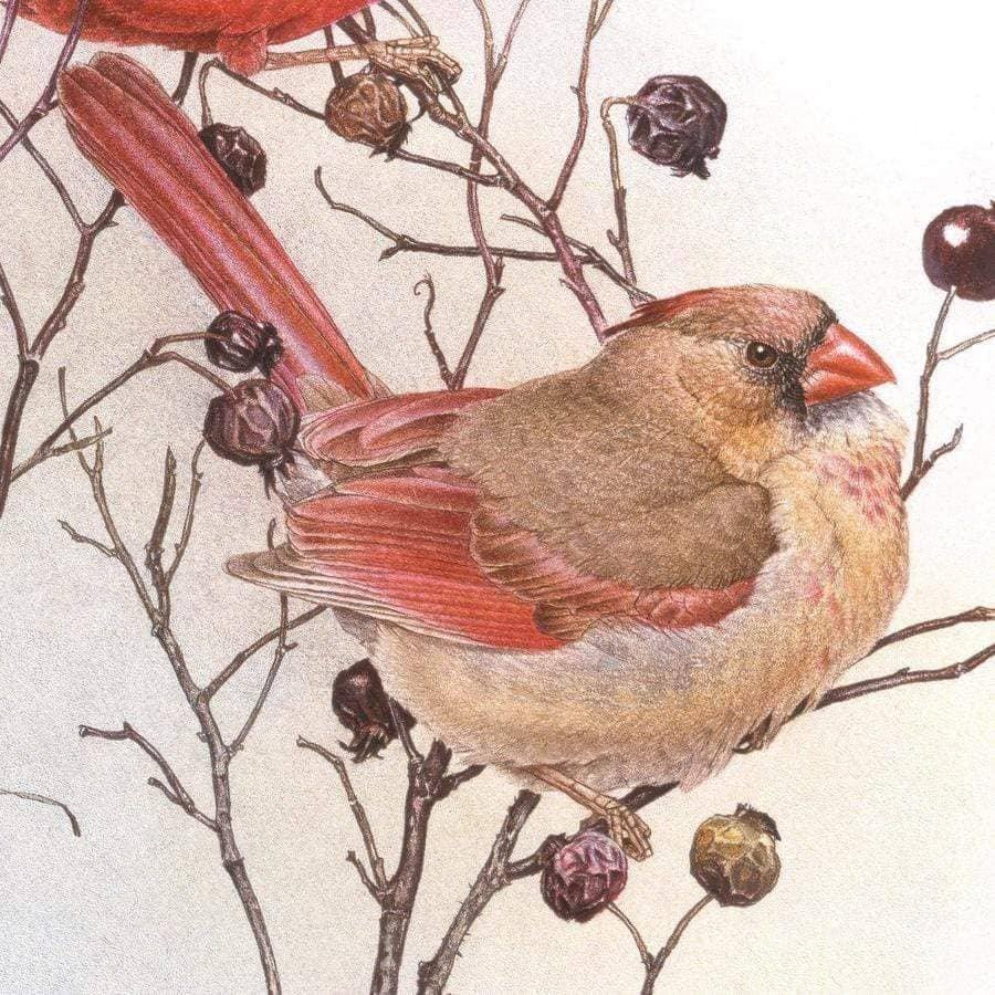 Cardinals on Rosehip Bush - Tote Bag | Artwork by Glen Loates