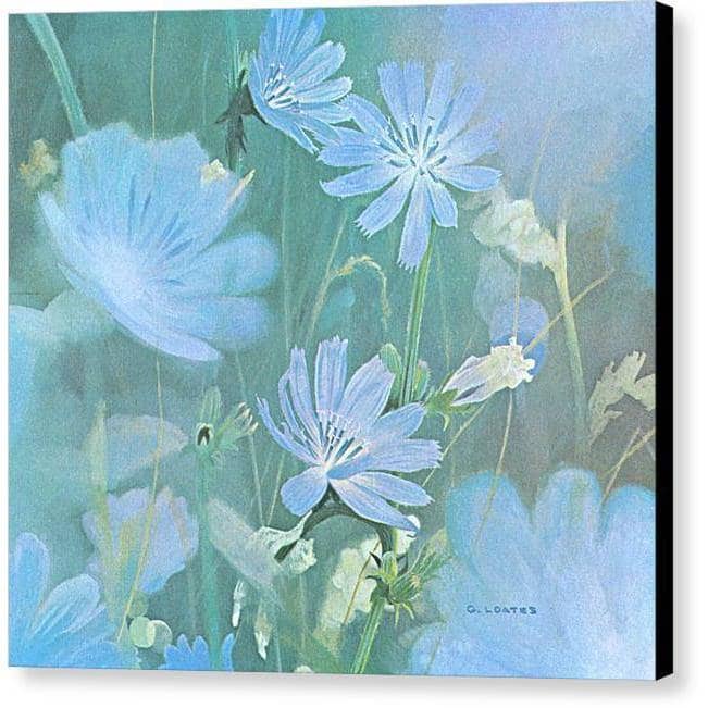 Chicories - Canvas Print | Artwork by Glen Loates