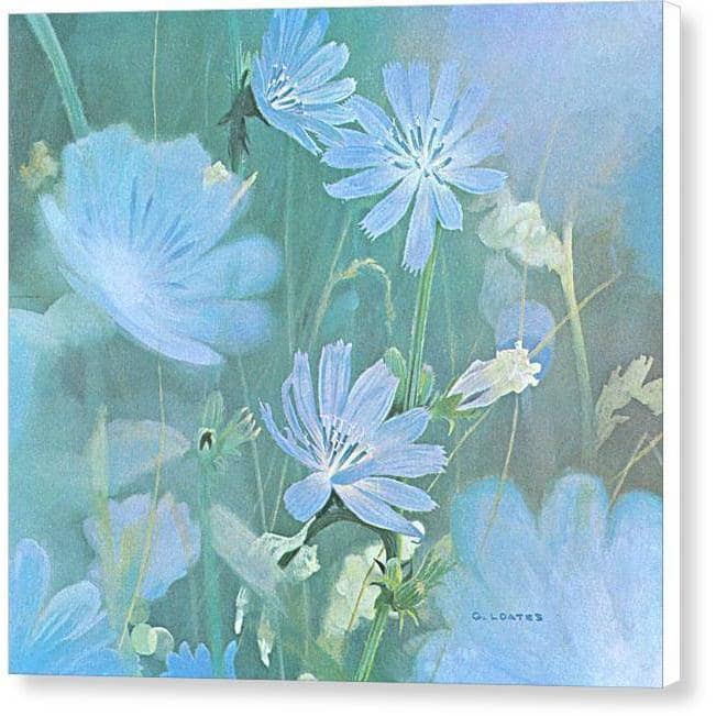 Chicories - Canvas Print | Artwork by Glen Loates