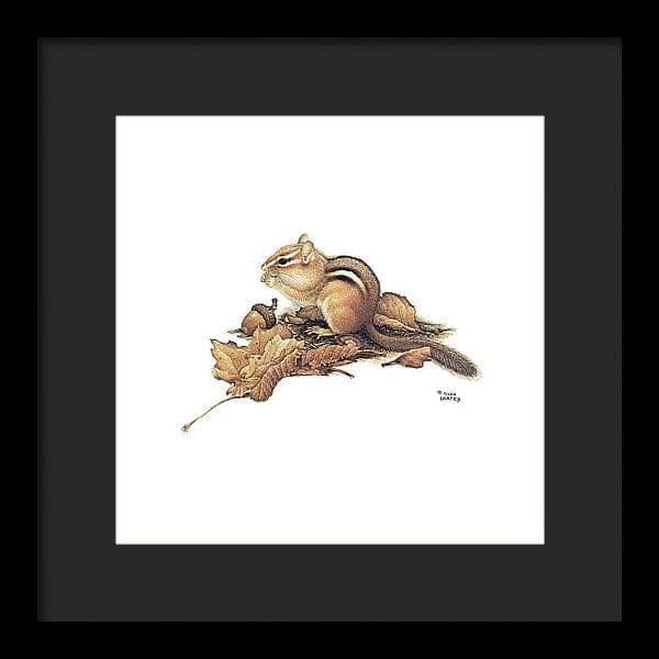 Chipmunk and Acorns - Framed Print | Artwork by Glen Loates
