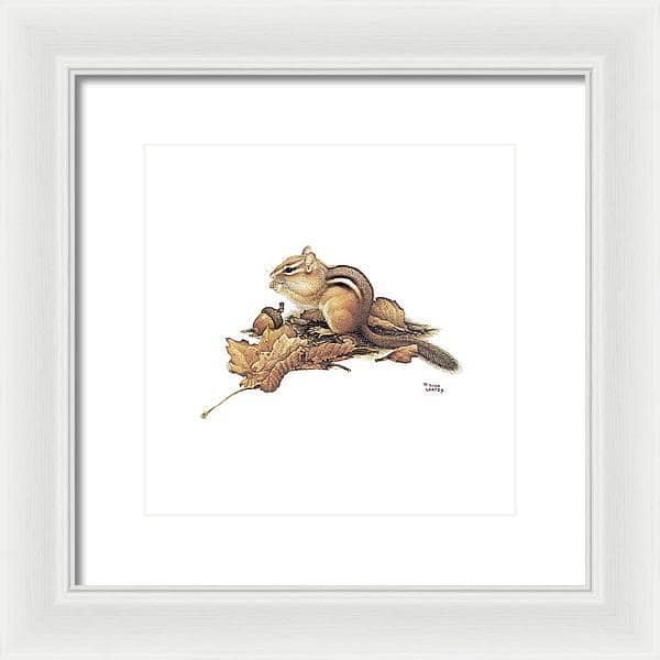 Chipmunk and Acorns - Framed Print | Artwork by Glen Loates
