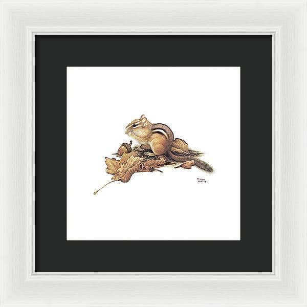 Chipmunk and Acorns - Framed Print | Artwork by Glen Loates