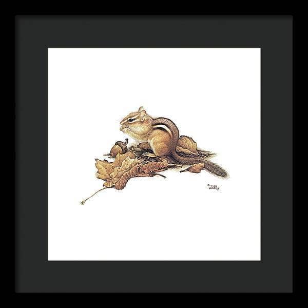 Chipmunk and Acorns - Framed Print | Artwork by Glen Loates
