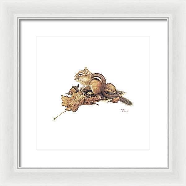 Chipmunk and Acorns - Framed Print | Artwork by Glen Loates