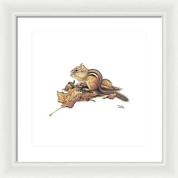 Chipmunk and Acorns - Framed Print | Artwork by Glen Loates