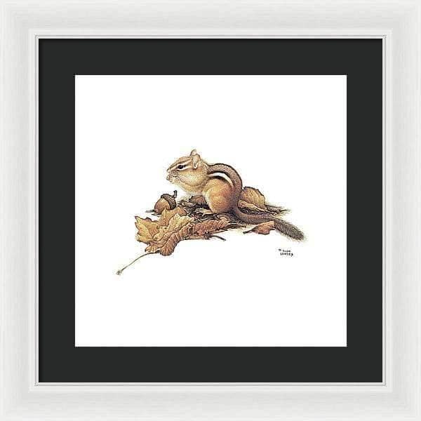 Chipmunk and Acorns - Framed Print | Artwork by Glen Loates