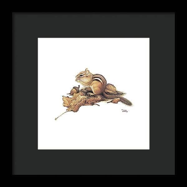 Chipmunk and Acorns - Framed Print | Artwork by Glen Loates
