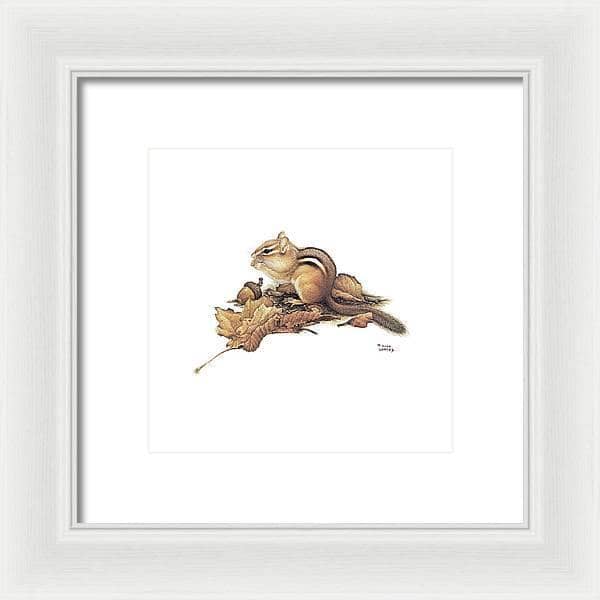 Chipmunk and Acorns - Framed Print | Artwork by Glen Loates