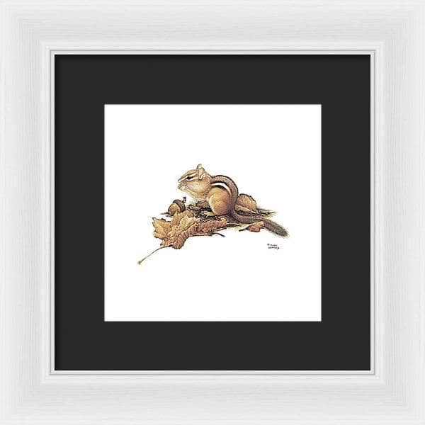 Chipmunk and Acorns - Framed Print | Artwork by Glen Loates