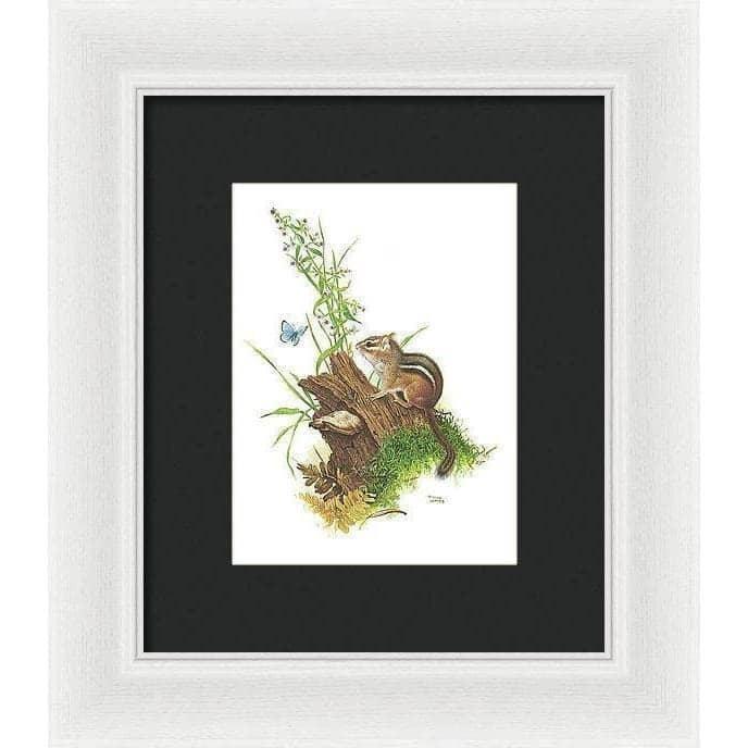 Chipmunk and Woodland Blue Butterfly - Framed Print | Artwork by Glen Loates