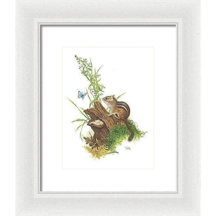 Chipmunk and Woodland Blue Butterfly - Framed Print | Artwork by Glen Loates