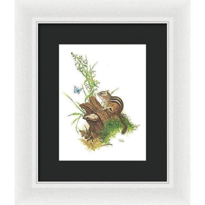 Chipmunk and Woodland Blue Butterfly - Framed Print | Artwork by Glen Loates
