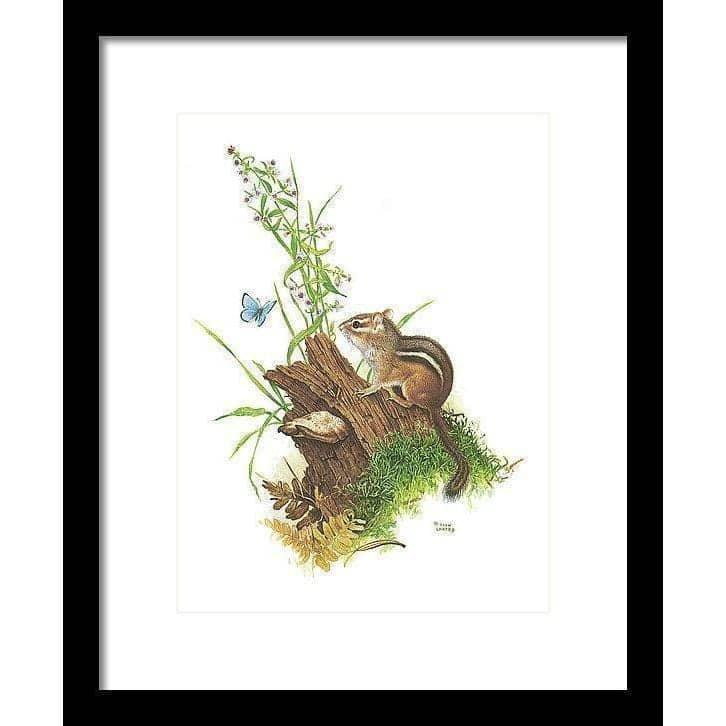 Chipmunk and Woodland Blue Butterfly - Framed Print | Artwork by Glen Loates