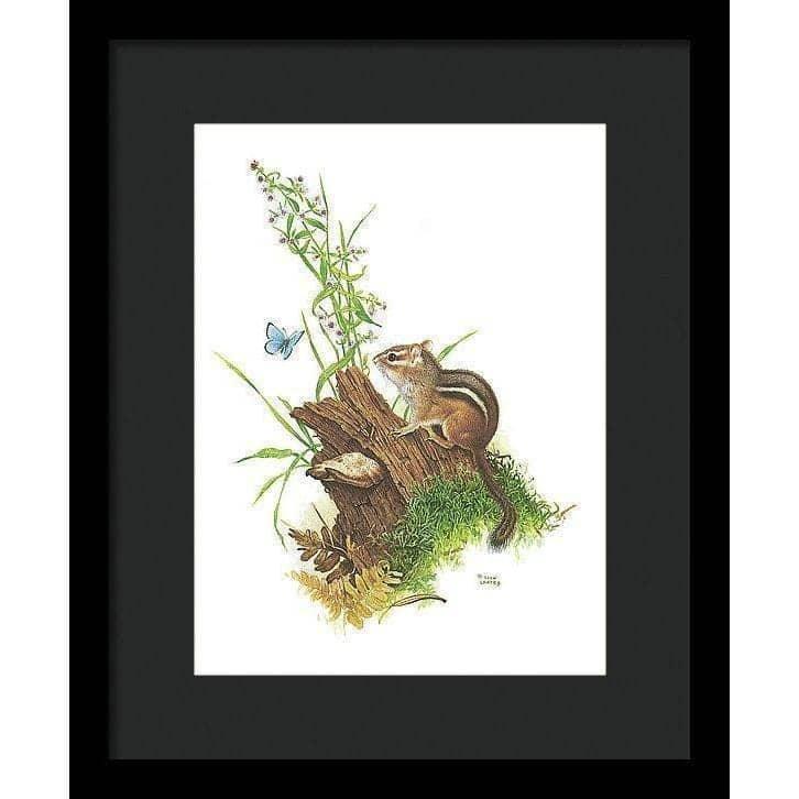 Chipmunk and Woodland Blue Butterfly - Framed Print | Artwork by Glen Loates