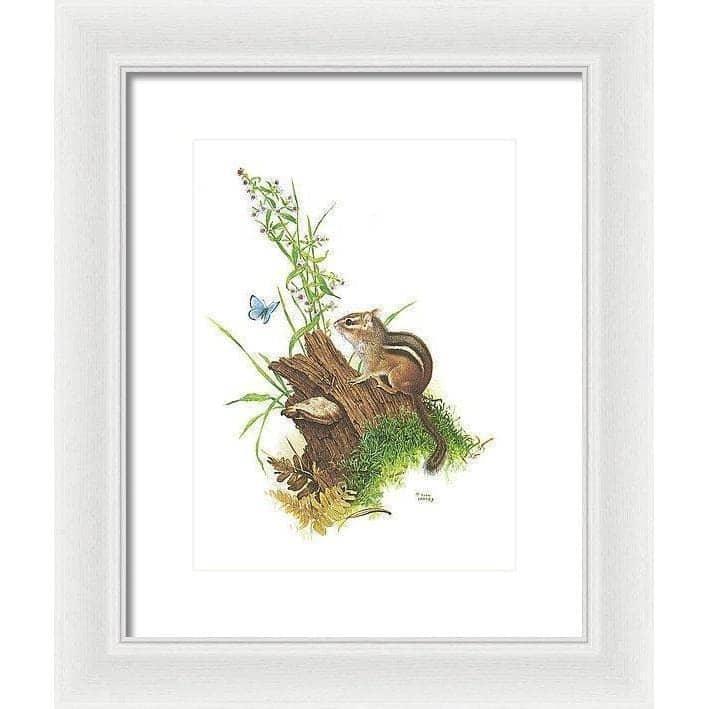 Chipmunk and Woodland Blue Butterfly - Framed Print | Artwork by Glen Loates