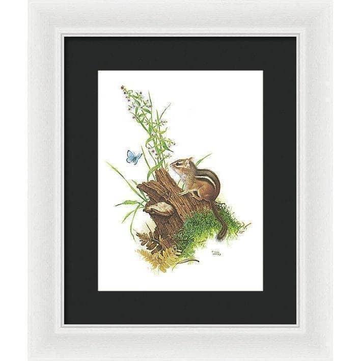 Chipmunk and Woodland Blue Butterfly - Framed Print | Artwork by Glen Loates