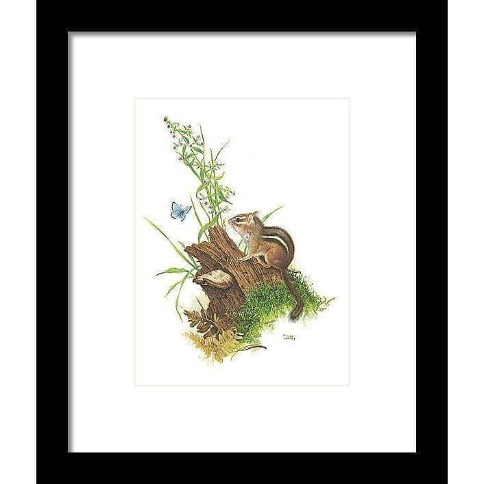 Chipmunk and Woodland Blue Butterfly - Framed Print | Artwork by Glen Loates