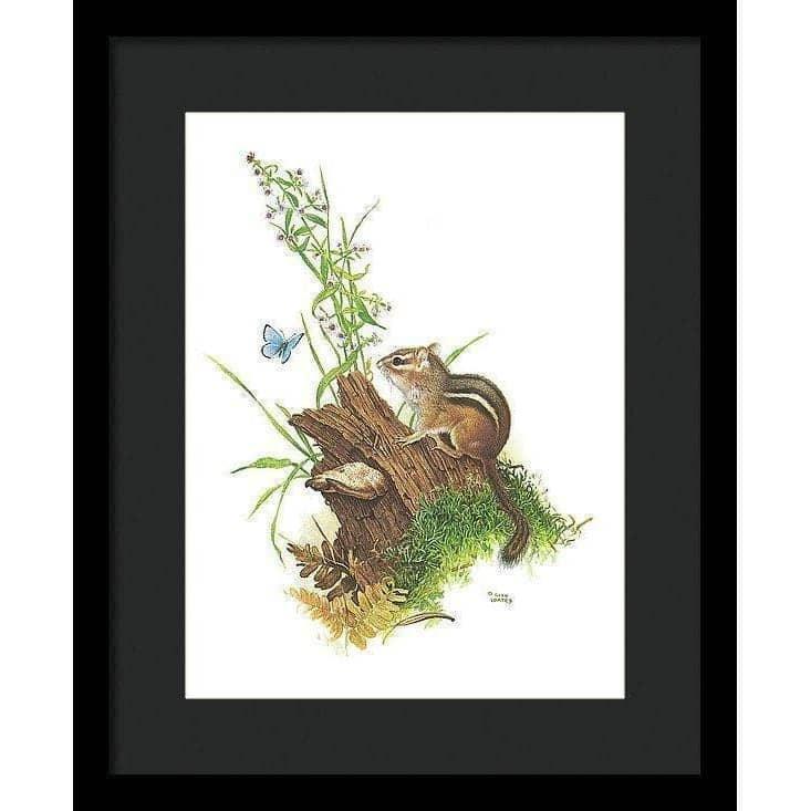 Chipmunk and Woodland Blue Butterfly - Framed Print | Artwork by Glen Loates