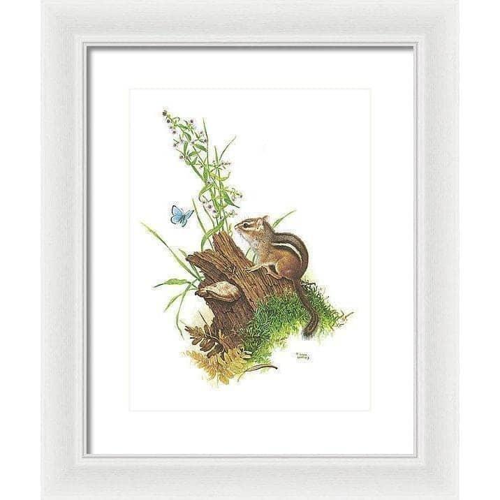 Chipmunk and Woodland Blue Butterfly - Framed Print | Artwork by Glen Loates