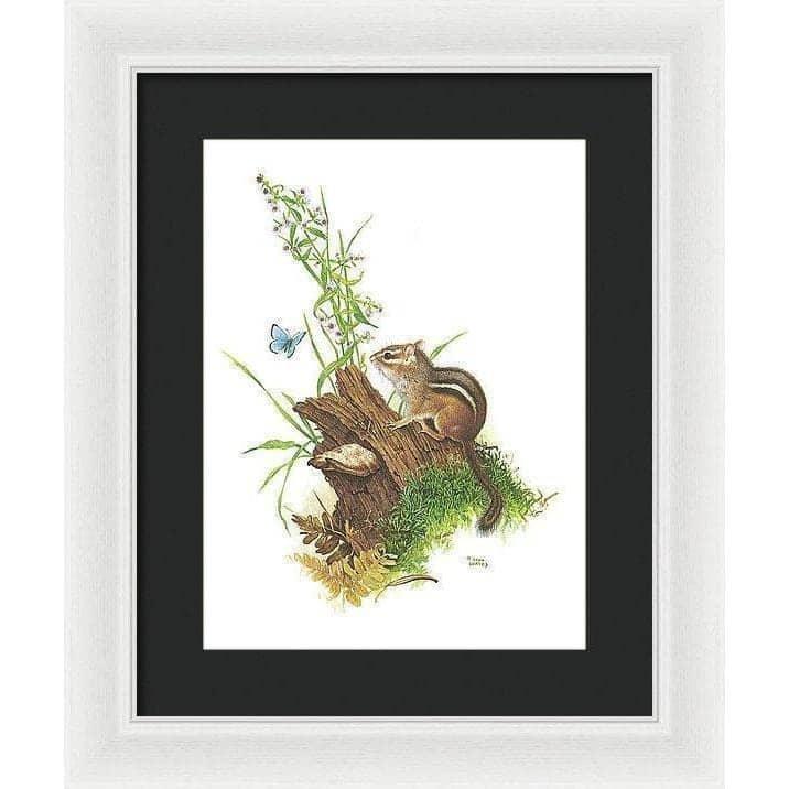 Chipmunk and Woodland Blue Butterfly - Framed Print | Artwork by Glen Loates