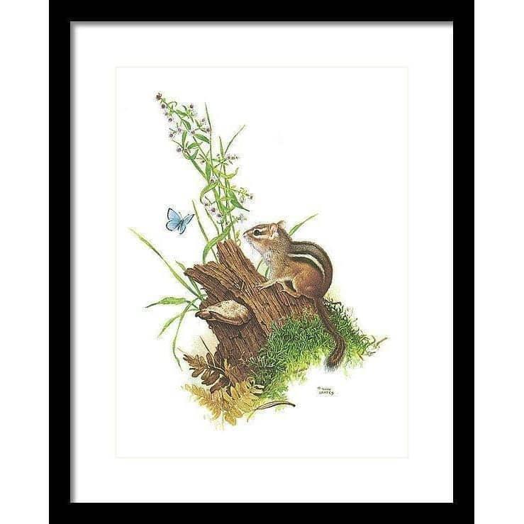 Chipmunk and Woodland Blue Butterfly - Framed Print | Artwork by Glen Loates