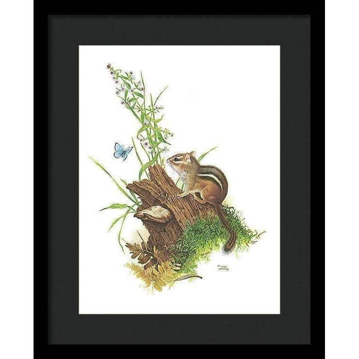 Chipmunk and Woodland Blue Butterfly - Framed Print | Artwork by Glen Loates