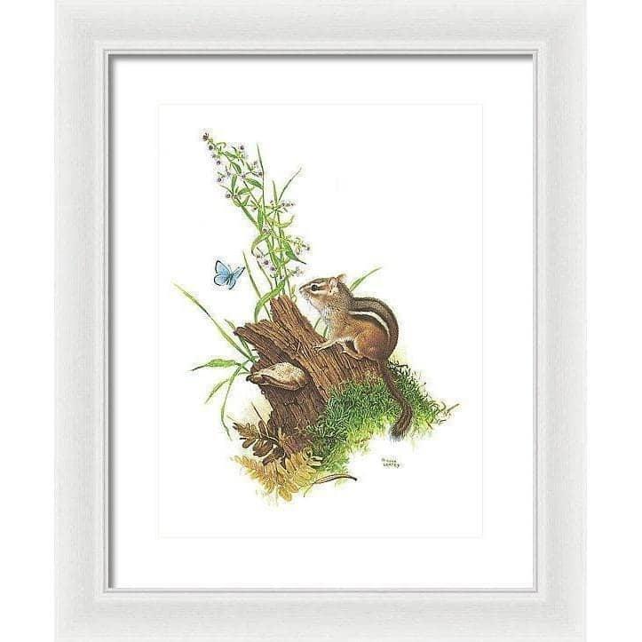 Chipmunk and Woodland Blue Butterfly - Framed Print | Artwork by Glen Loates