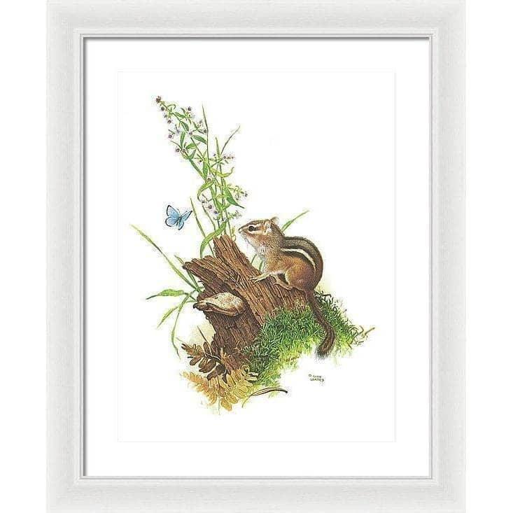 Chipmunk and Woodland Blue Butterfly - Framed Print | Artwork by Glen Loates