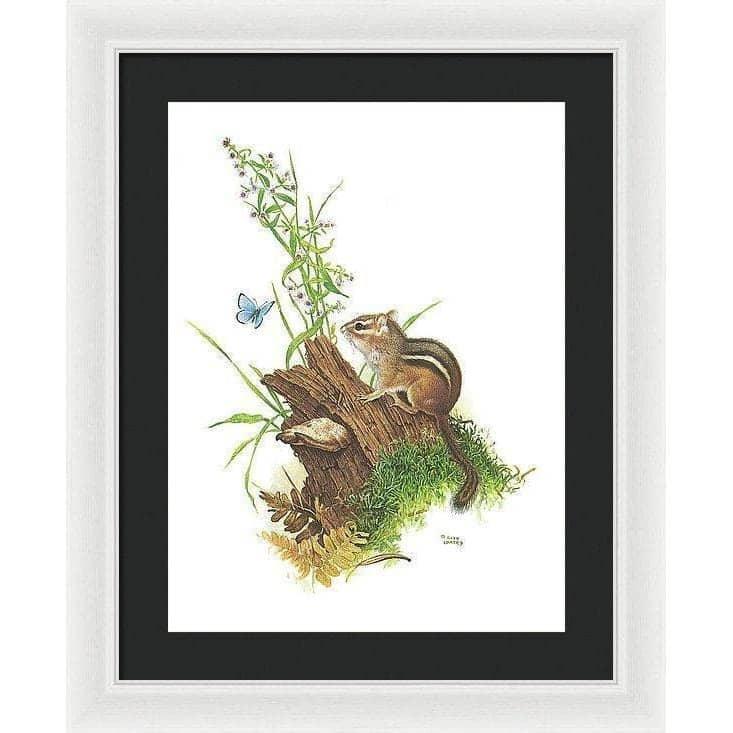 Chipmunk and Woodland Blue Butterfly - Framed Print | Artwork by Glen Loates