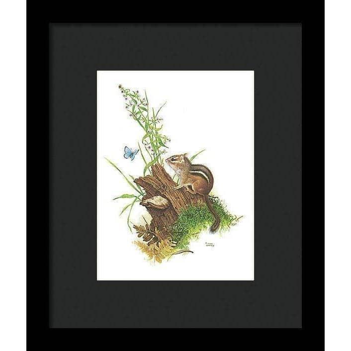 Chipmunk and Woodland Blue Butterfly - Framed Print | Artwork by Glen Loates