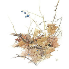 Giclée sur papier