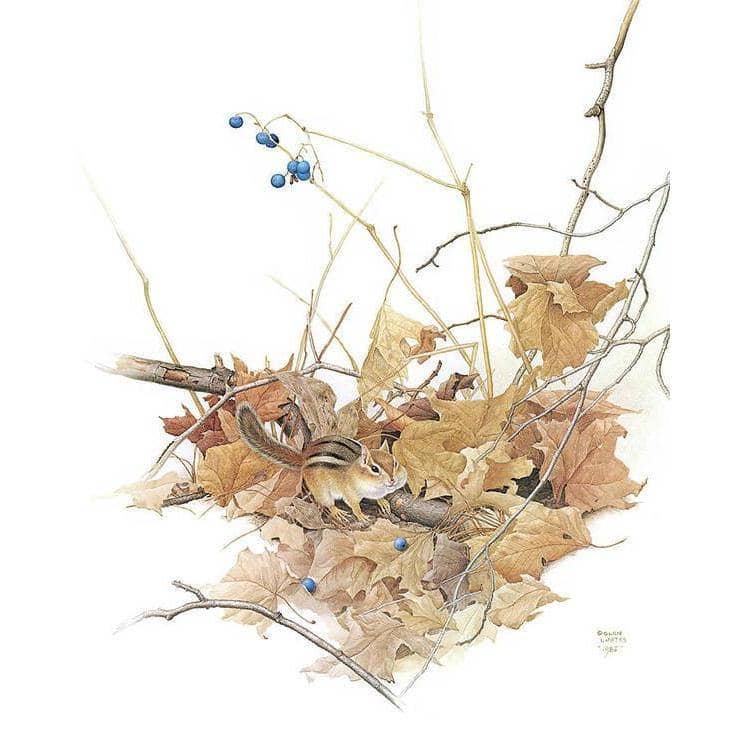 Chipmunk on Forest Floor by Glen Loates, giclée on paper: a chipmunk among dry autumn leaves on the forest floor