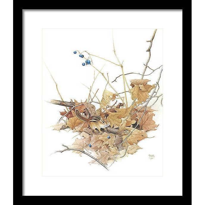 Chipmunk on Forest Floor - Framed Print | Artwork by Glen Loates