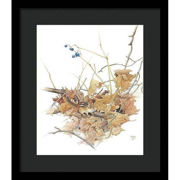 Chipmunk on Forest Floor - Framed Print | Artwork by Glen Loates