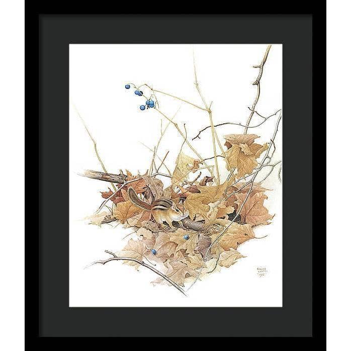 Chipmunk on Forest Floor - Framed Print | Artwork by Glen Loates