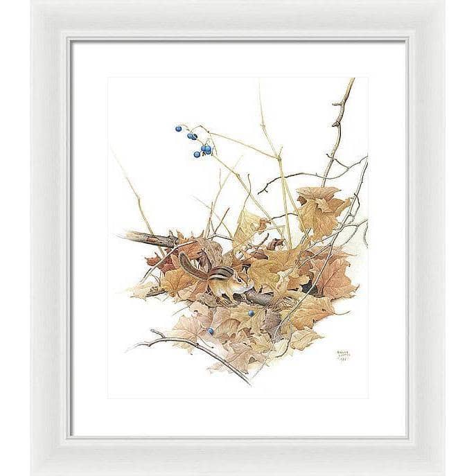 Chipmunk on Forest Floor - Framed Print | Artwork by Glen Loates