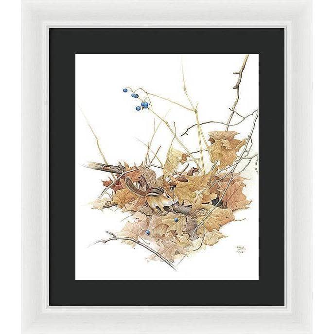 Chipmunk on Forest Floor - Framed Print | Artwork by Glen Loates