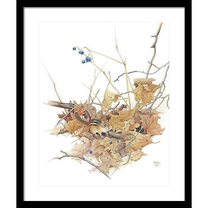 Chipmunk on Forest Floor - Framed Print | Artwork by Glen Loates