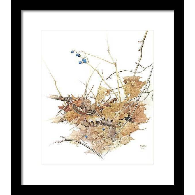 Chipmunk on Forest Floor - Framed Print | Artwork by Glen Loates