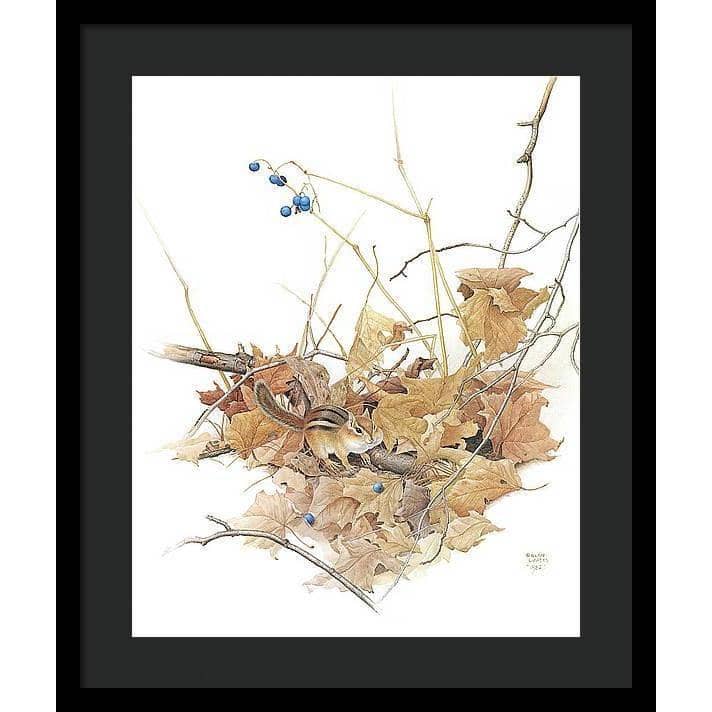 Chipmunk on Forest Floor - Framed Print | Artwork by Glen Loates