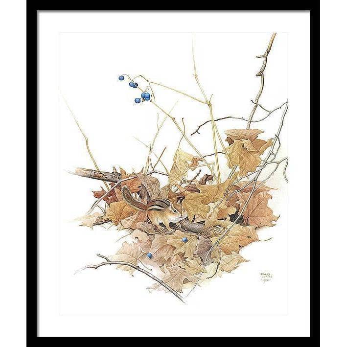 Chipmunk on Forest Floor - Framed Print | Artwork by Glen Loates