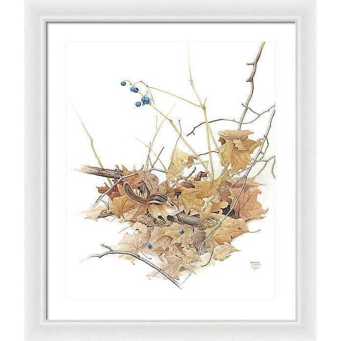 Chipmunk on Forest Floor - Framed Print | Artwork by Glen Loates