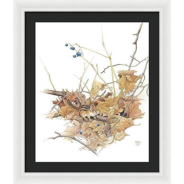 Chipmunk on Forest Floor - Framed Print | Artwork by Glen Loates