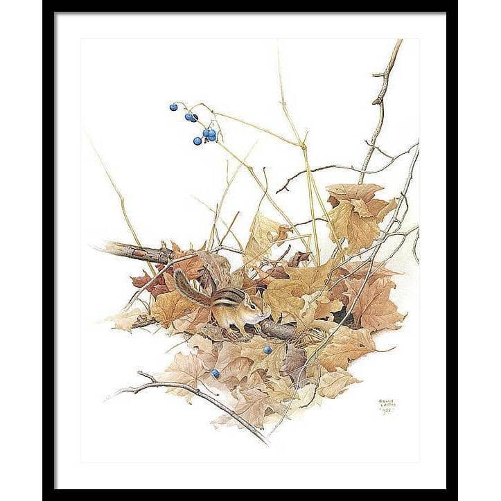 Chipmunk on Forest Floor - Framed Print | Artwork by Glen Loates