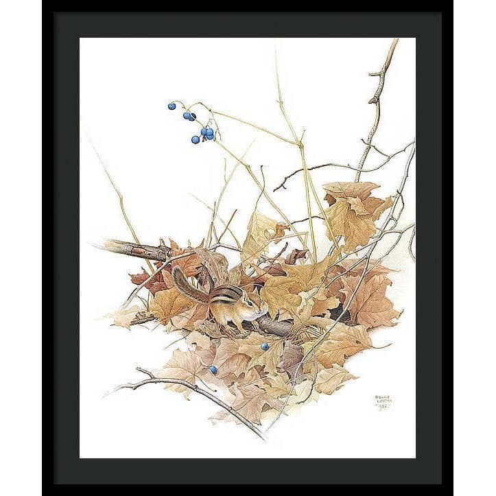 Chipmunk on Forest Floor - Framed Print | Artwork by Glen Loates