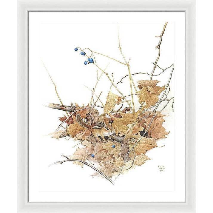 Chipmunk on Forest Floor - Framed Print | Artwork by Glen Loates