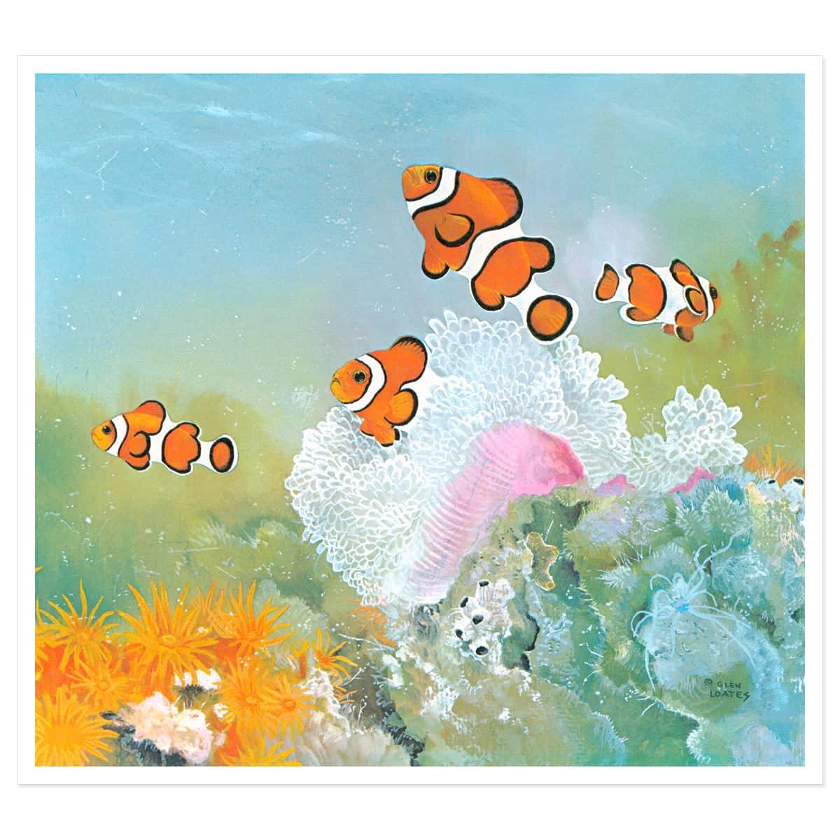 Clown Fish with Sea Anemones - Art Print | Artwork by Glen Loates