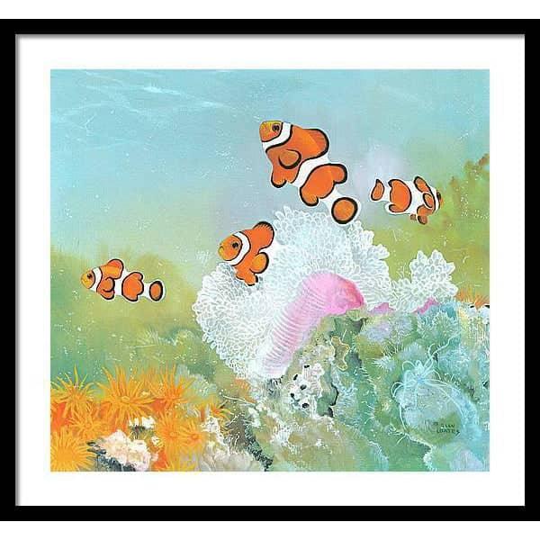 Clown Fish with Sea Anemones - Framed Print | Artwork by Glen Loates