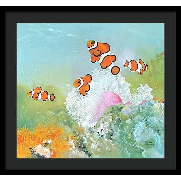 Clown Fish with Sea Anemones - Framed Print | Artwork by Glen Loates
